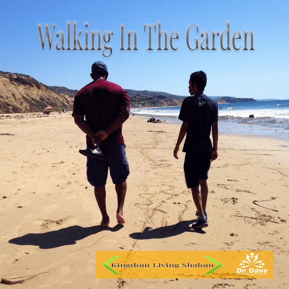 Walking-In-The-Garden_1000x1000 Walking in the Garden Song Image